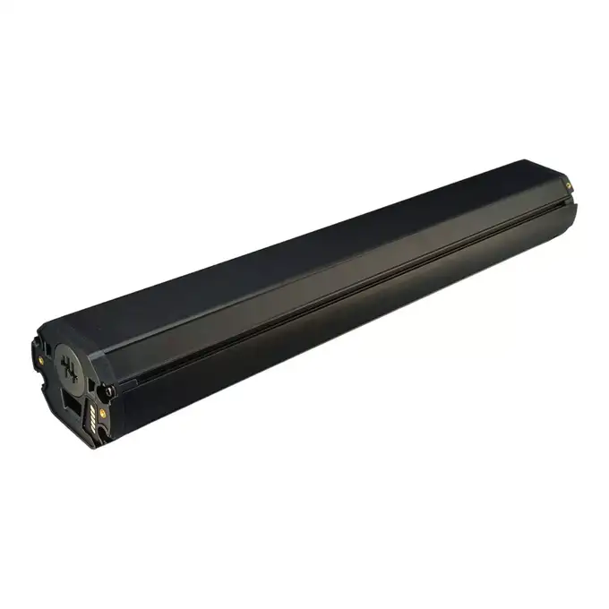 BOSCH Batteria PowerTube 750 orizzontale (BBP3770) EB1210000X