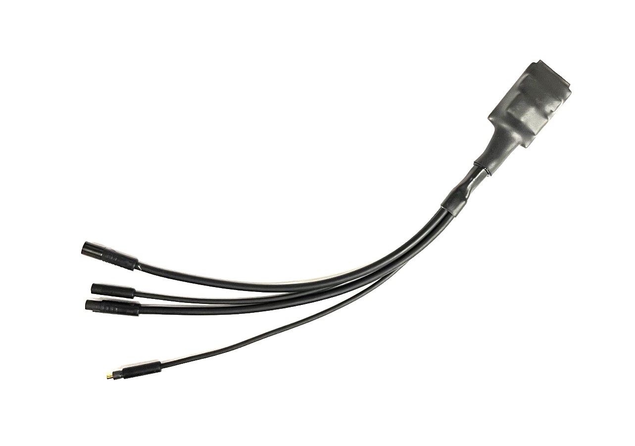 Eplus